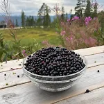 Cozy Family Close To Lake, Hiking, Cycling Hébergement de vacances
