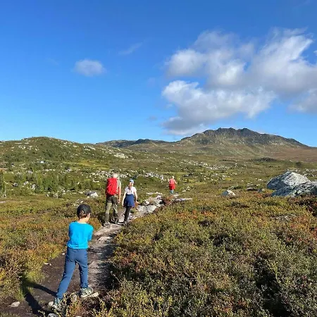 Cozy Family Close To Lake, Hiking, Cycling * Eggedal