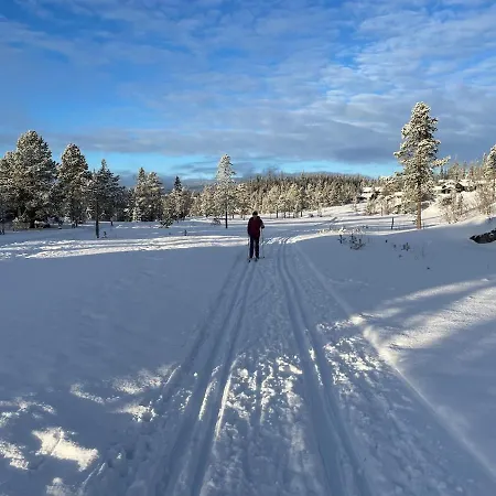 Cozy Family Close To Lake, Hiking, Cycling Eggedal